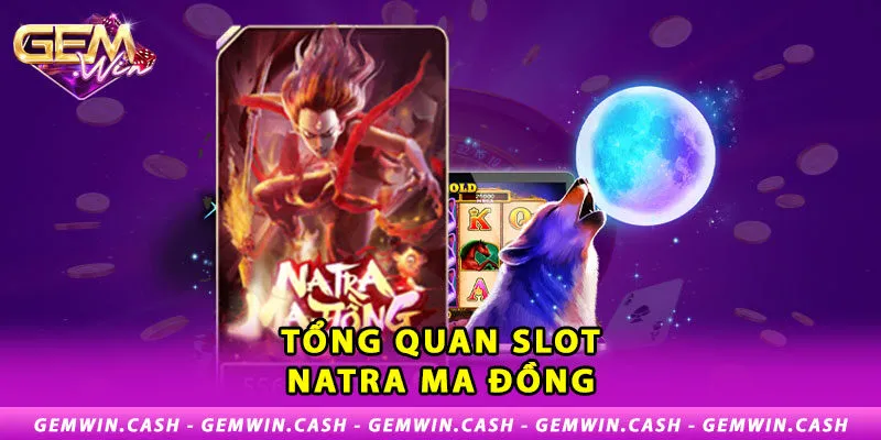 1-tong-quan-slot-natra-ma-dong